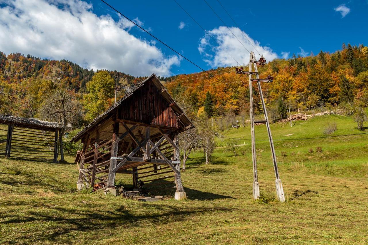 Holiday House Pokrovec - Bohinj Luaran gambar