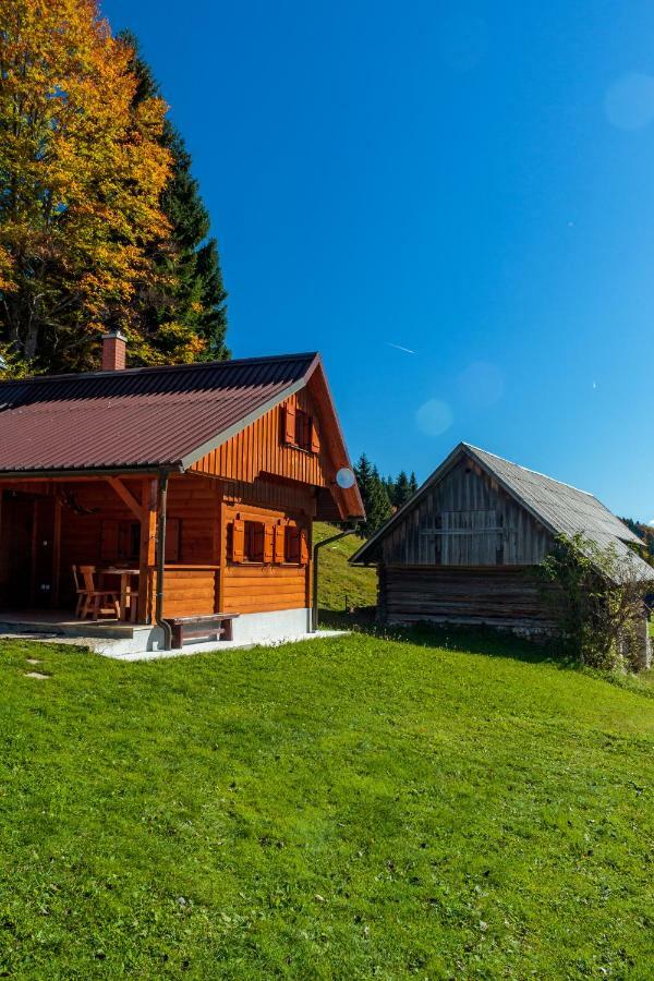 Holiday House Pokrovec - Bohinj Luaran gambar